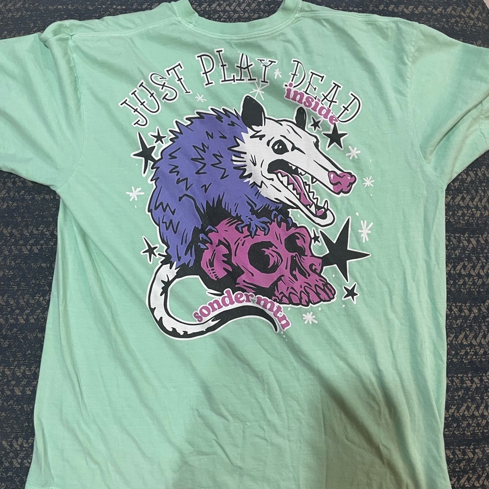 Comfort Colors Graphic Tee - Mint Green